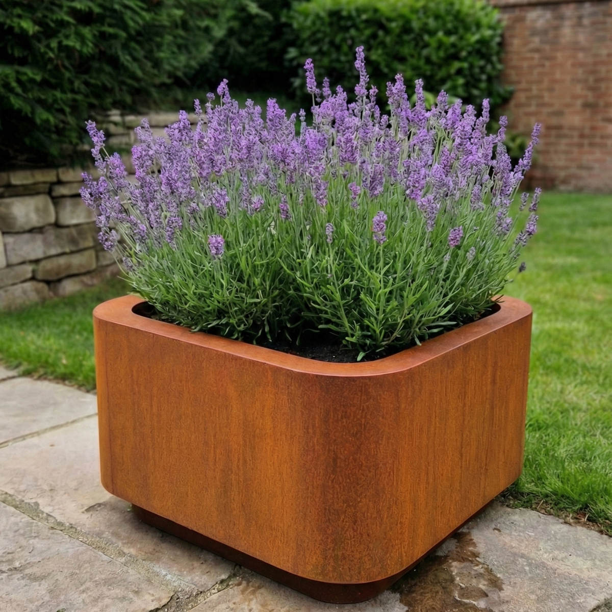 Stijlvolle vierkante cortenstaal plantenbak met afgeronde hoeken, gevuld met bloeiende paarse lavendel op een stenen terras.