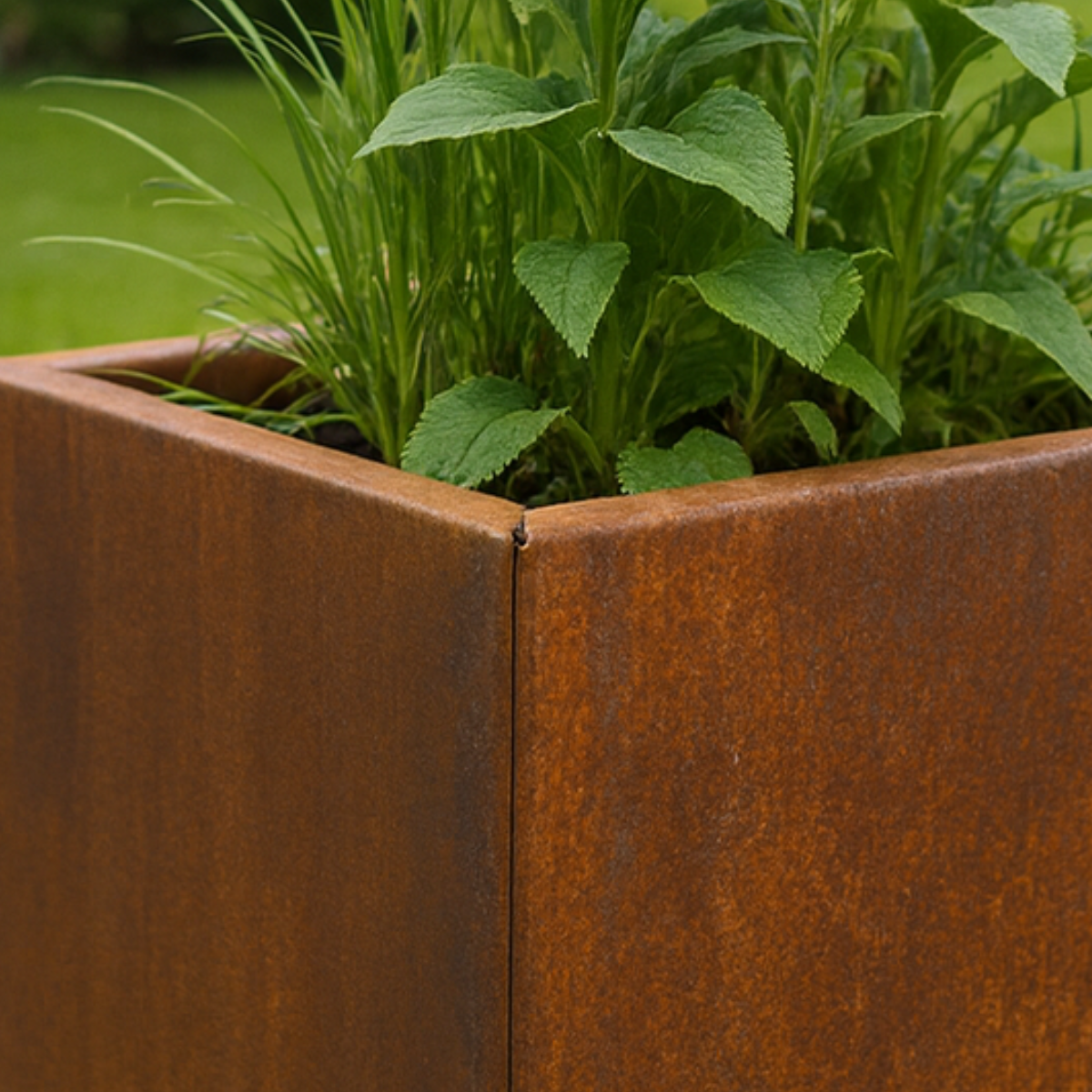 Een Cortenstaal plantenbak gevuld met weelderige groene siergrassen en planten in een groene tuin.