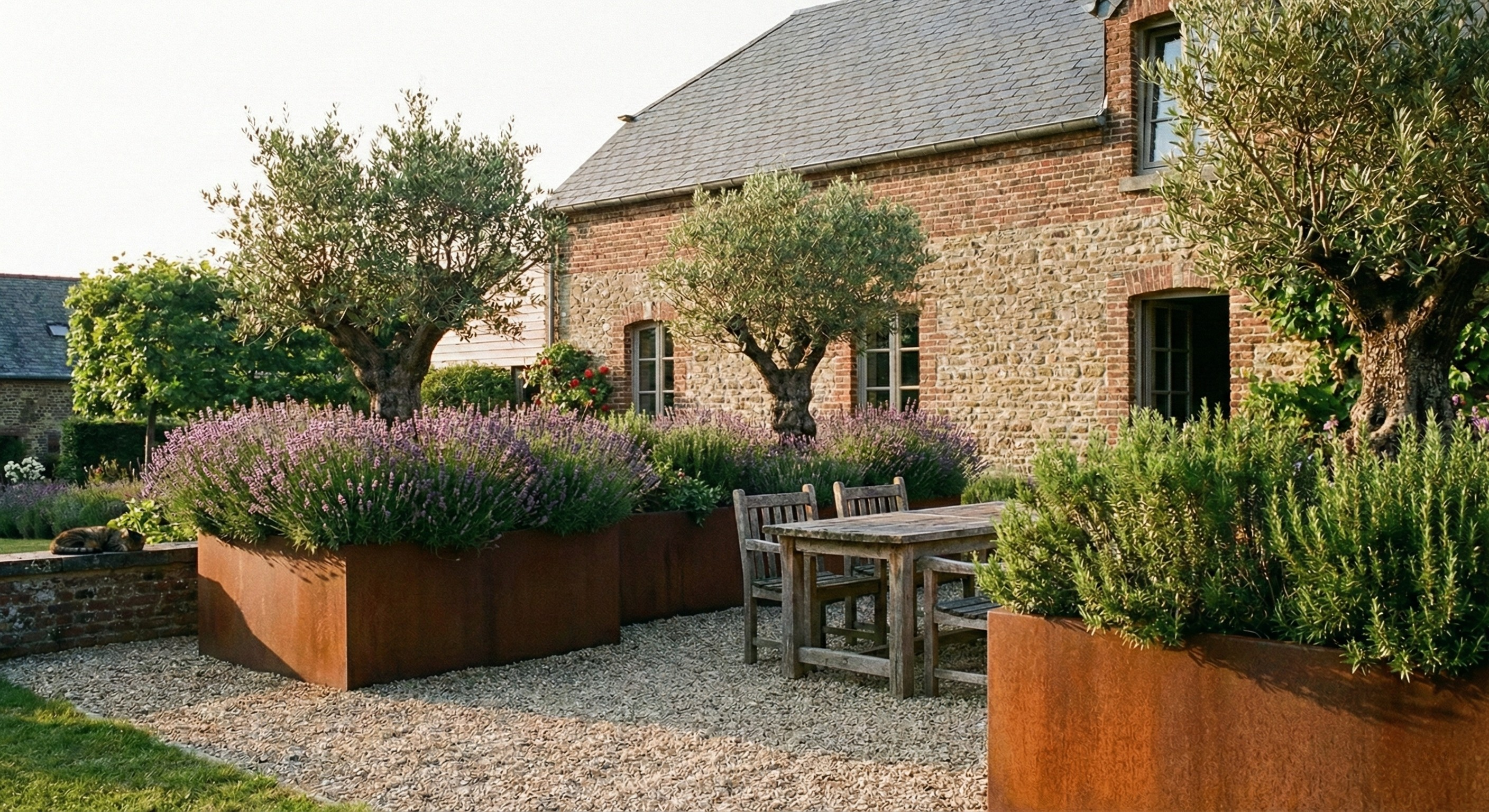 Grote plantenbakken van cortenstaal gevuld met lavendel en olijfbomen in een sfeervolle tuin met grind.