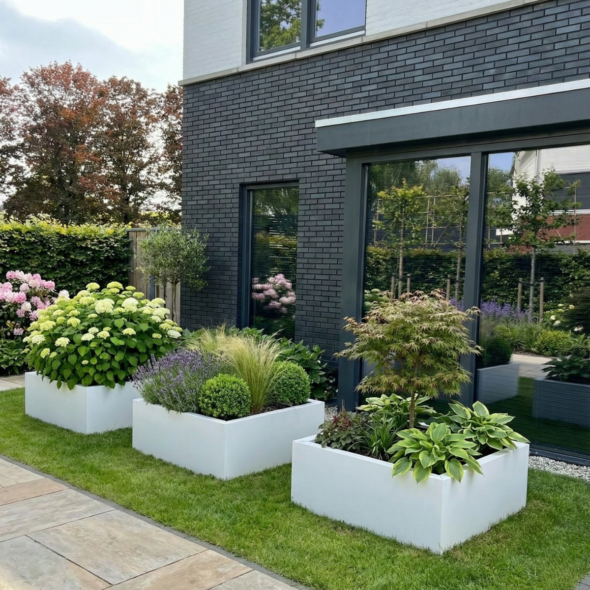 Drie lage witte vierkante plantenbakken stijlvol geplaatst op het gazon, gevuld met hortensia's, siergrassen, lavendel en een Japanse esdoorn voor een moderne gevel.