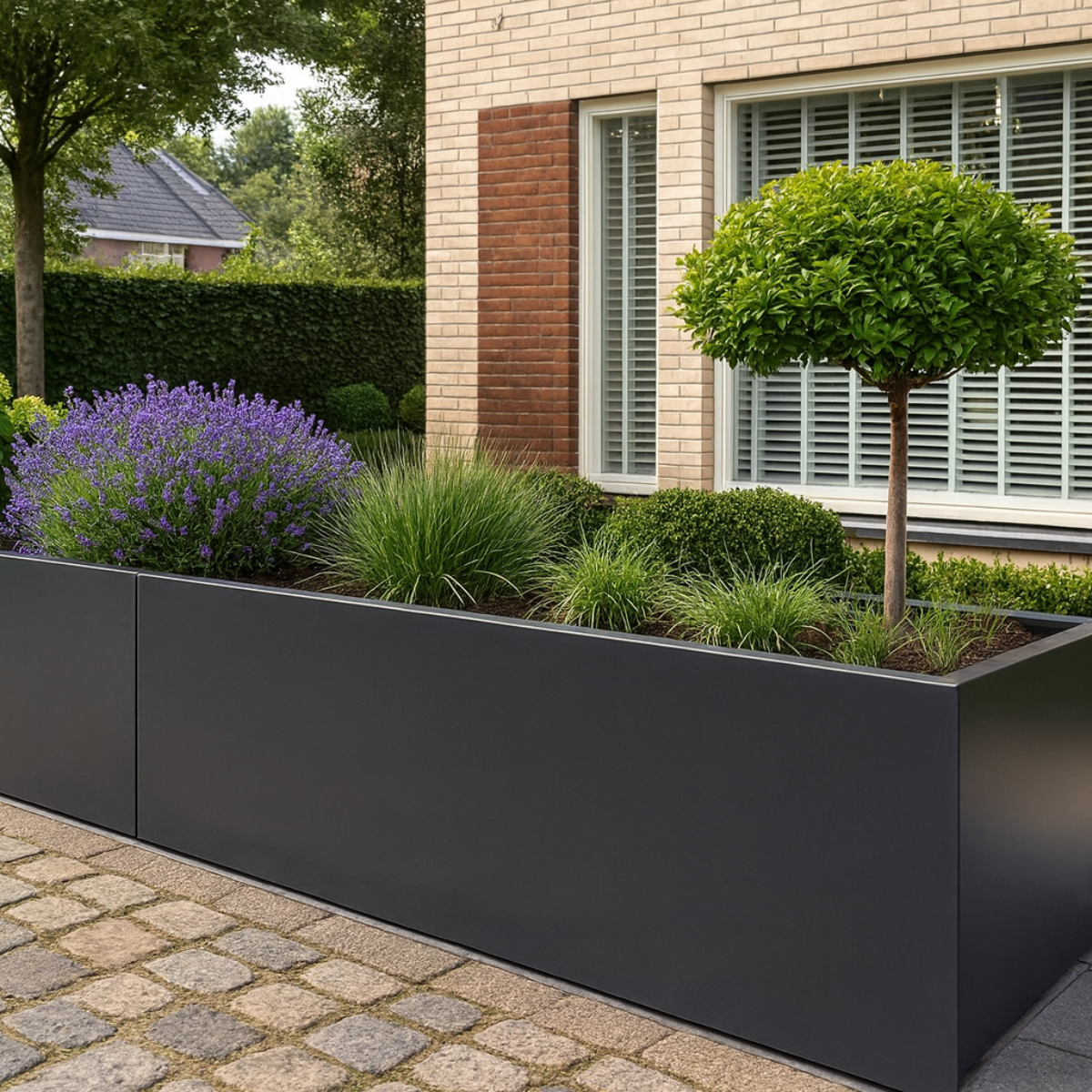 Lage donkergrijze rechthoekige plantenbak gevuld met een groenblijvend boompje op stam, lavendel en siergrassen tegen een lichte gevel.