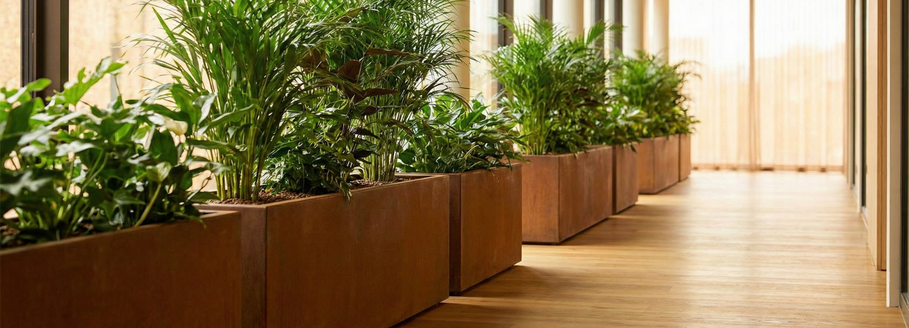 Cortenstaal plantenbakken binnen gebruiken: waar moet je op letten?