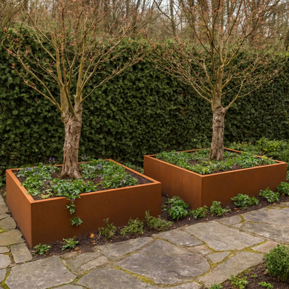 Cortenstaal plantenbak CORTEA 100 x 100 x 40 cm