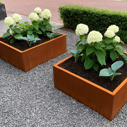 Cortenstaal plantenbak CORTEA 80 x 80 x 40 cm
