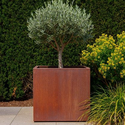 Cortenstaal plantenbak CORTEA 80 x 80 x 80 cm