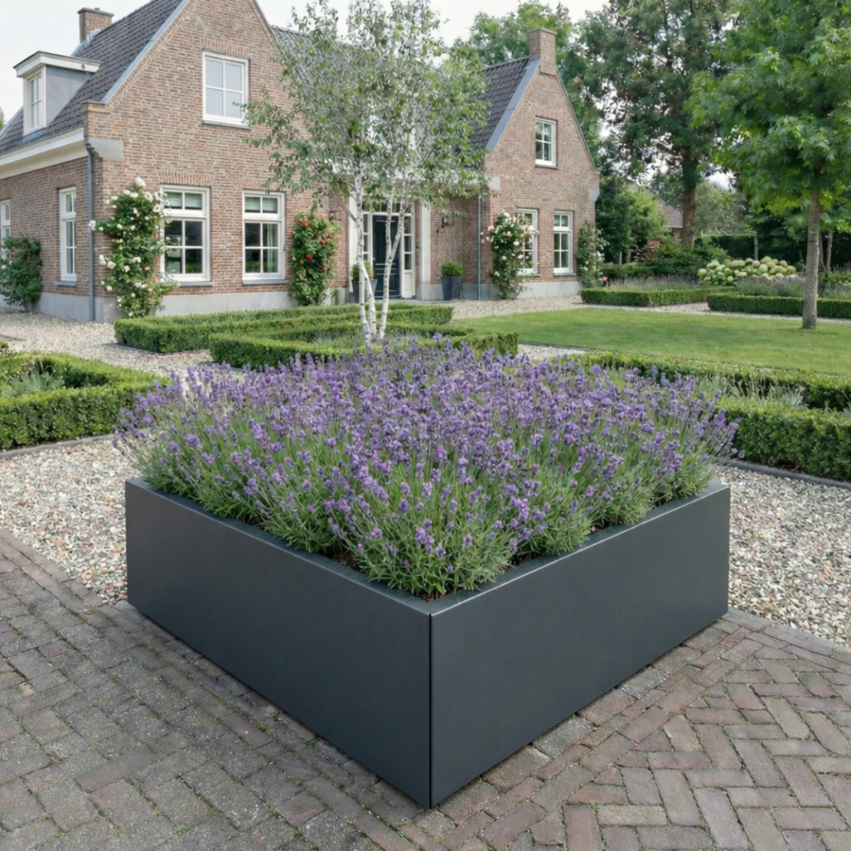 Grote, vierkante antracietgrijze plantenbak gevuld met bloeiende lavendel op een klinkerverharding in een tuin bij een klassiek bakstenen huis.