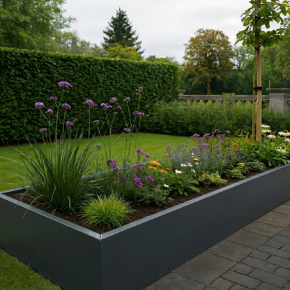 Lange plantenbak met paarse Verbena en witte zonnehoed in een tuin met een groen gazon en een strak pad.