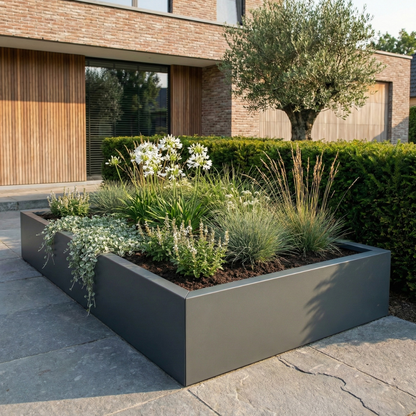 Grote grijze rechthoekige plantenbak gevuld met witte bloemen en diverse siergrassen in een moderne voortuin.