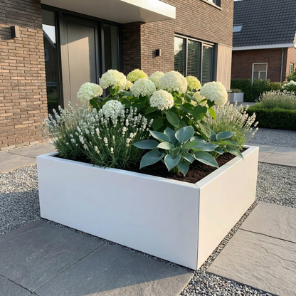 Een grote witte vierkante plantenbak gevuld met witte hortensia's, witte lavendel en hosta's in een moderne voortuin.