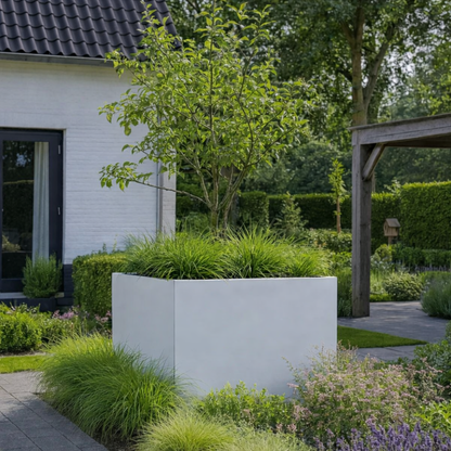 Grote witte vierkante plantenbak gevuld met een kleine boom en groene siergrassen op een terras in een sfeervolle tuin bij een wit huis.