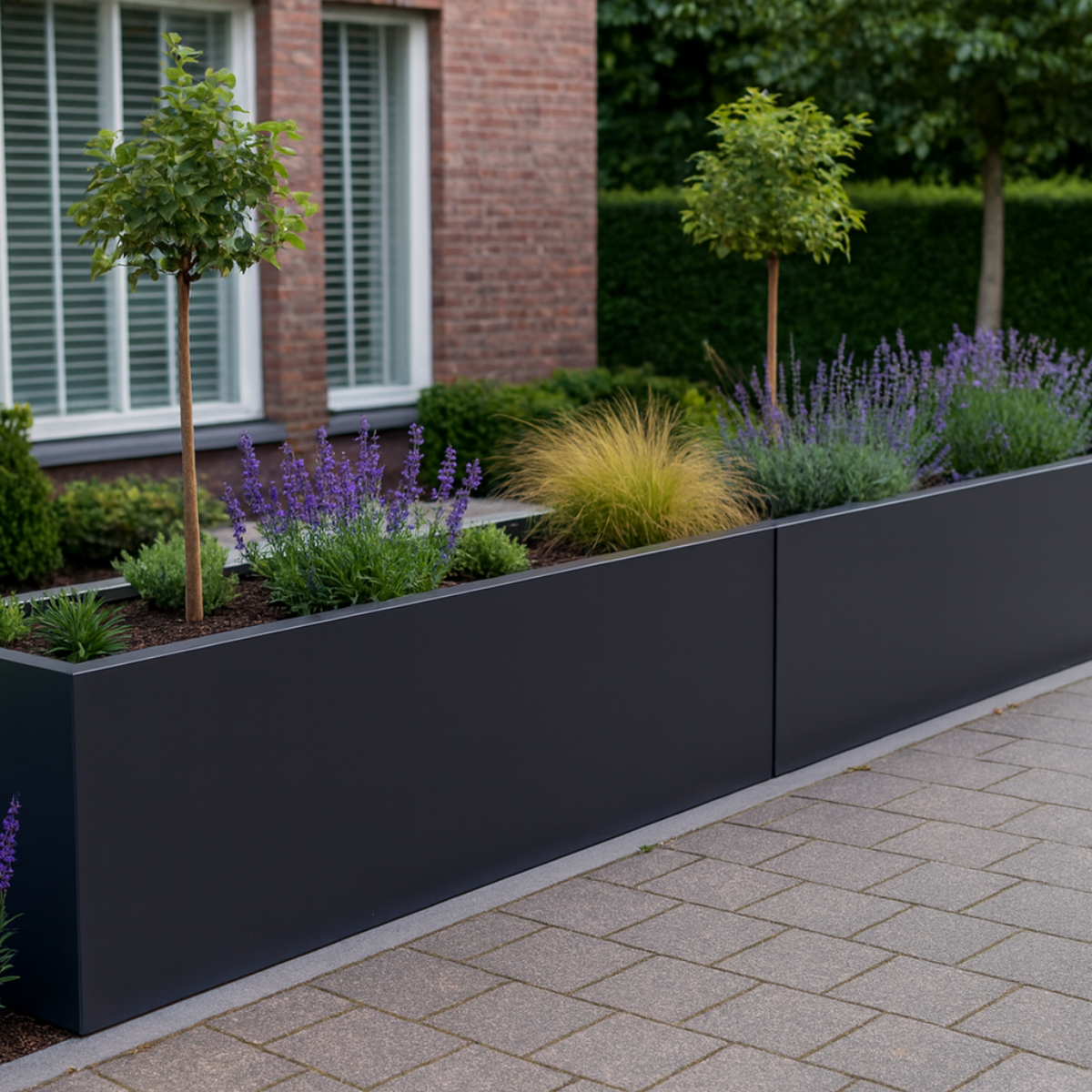 Lange donkergrijze rechthoekige plantenbak gevuld met boompjes op stam, lavendel en siergrassen voor een gevel met grote ramen.