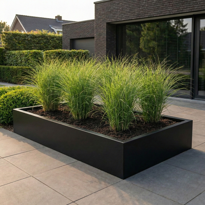 Grote zwarte rechthoekige plantenbak gevuld met siergrassen op een modern betegeld terras in een strakke tuin.