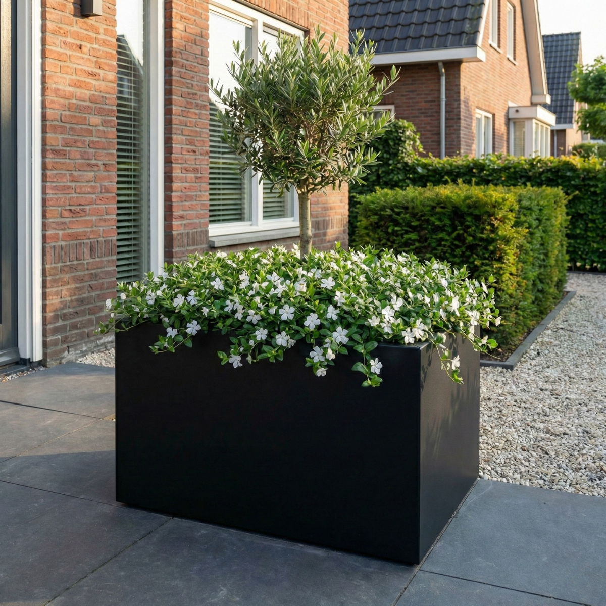 Grote zwarte vierkante plantenbak gevuld met een olijfboompje en witte bloemen in een moderne voortuin.